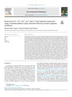 Removal of Cu2+, Fe2+, Ni2+, Zn2+ and Cl− from Industrial wastewater using a Polyethersulfone/Carbon Nanotube/Polyvinyl alcohol composite membrane