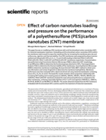 Effect of carbon nanotubes loading and pressure on the performance of a polyethersulfone (PES)/carbon nanotubes (CNT) membrane