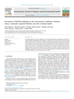 Prevalence of ESKAPE pathogens in the environment: Antibiotic resistance status, community-acquired infection and risk to human health