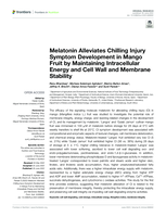 Melatonin Alleviates Chilling Injury Symptom Development in Mango Fruit by Maintaining Intracellular Energy and Cell Wall and Membrane Stability