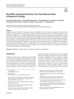 MicroRNAs and Synaptic Plasticity: From Their Molecular Roles to Response to Therapy