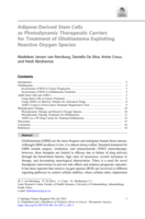 Adipose-Derived Stem Cells as Photodynamic Therapeutic Carriers for Treatment of Glioblastoma Exploiting Reactive Oxygen Species