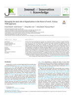 Managing the dark side of digitalization in the future of work: A fuzzy TISM approach