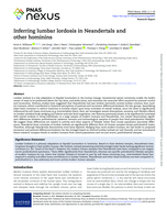 Inferring lumbar lordosis in Neandertals and other hominins