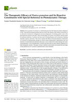 The Therapeutic Efficacy of Punica granatum and Its Bioactive Constituents with Special Reference to Photodynamic Therapy