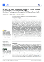 In Vitro Cell Death Mechanisms Induced by Dicoma anomala Root Extract in Combination with ZnPcS4 Mediated-Photodynamic Therapy in A549 Lung Cancer Cells