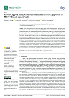 Rubus Capped Zinc Oxide Nanoparticles Induce Apoptosis in MCF-7 Breast Cancer Cells
