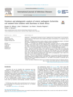 Virulence and phylogenetic analysis of enteric pathogenic Escherichia coli isolated from children with diarrhoea in South Africa