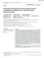 Woody plant phylogenetic diversity supports nature's contributions to people but is at risk from human population growth