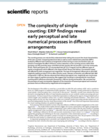 The complexity of simple counting: ERP findings reveal early perceptual and late numerical processes in different arrangements
