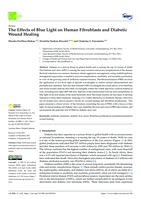 The Effects of Blue Light on Human Fibroblasts and Diabetic Wound Healing