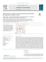Spatial analysis of synergies and trade-offs between the Sustainable Development Goals (SDGs) in Africa