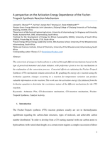 A perspective on the Activation Energy Dependence of the Fischer-Tropsch Synthesis Reaction Mechanism