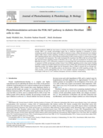 Photobiomodulation activates the PI3K/AKT pathway in diabetic fibroblast cells in vitro