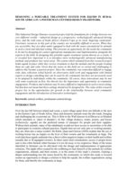Designing a portable treatment system for equids in rural South Africa in a posthuman-centred design framework