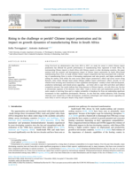 Rising to the challenge or perish? Chinese import penetration and its impact on growth dynamics of manufacturing firms in South Africa