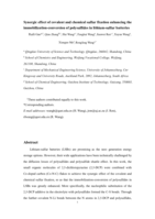 Synergic effect of covalent and chemical sulfur fixation enhancing the immobilization-conversion of polysulfides in lithium-sulfur batteries