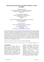 Manufacturing productivity and FDI externalities: Is small beautiful?