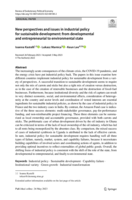 New perspectives and issues in industrial policy for sustainable development: from developmental and entrepreneurial to environmental state