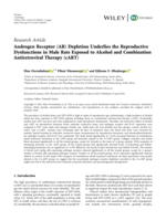 Androgen Receptor (AR) depletion underlies the reproductive dysfunctions in male rats exposed to alcohol and Combination Antiretroviral Therapy (cART)