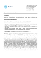 Induction of intelligence into molecules by using spinor radiation: an alternative to water memory