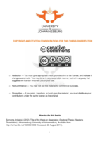 The role of the financial sector in the South African Economy : a cointegration analysis