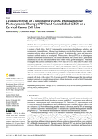 Cytotoxic effects of combinative ZnPcS4 Photosensitizer Photodynamic Therapy (PDT) and Cannabidiol (CBD) on a cervical cancer cell line