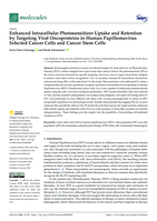 Enhanced intracellular photosensitizer uptake and retention by targeting viral oncoproteins in human papillomavirus infected cancer cells and cancer stem cells