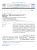 Functional characterization and development of novel human kinase insert domain receptor chimeric antigen receptor T-cells for immunotherapy of non-small cell lung cancer