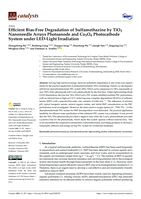 The intimate affliction of vicarious racialization: Afro-Chinese couples in South China