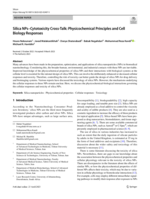 Silica NPs–cytotoxicity cross‑talk: Physicochemical principles and cell biology responses