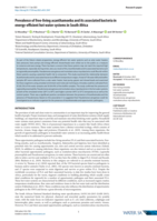 Prevalence of free-living acanthamoeba and its associated bacteria in energy-efficient hot water systems in South Africa