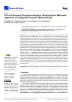 Silver(I) bromide phosphines induce mitochondrial-mediated apoptosis in malignant human colorectal cells