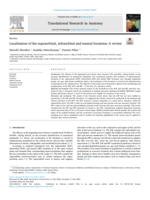 Localisation of the supraorbital, infraorbital and mental foramina: A review