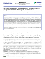 Bacillus dicomae sp. nov., a new member of the Bacillus cereus group isolated from medicinal plant Dicoma anomala
