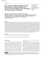 The impacts of stigma against sexual minority men within and between various socioecological levels: Breaking the vicious cycle in Zambia