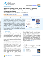 Molecular dynamics study on the effect of cyclic conducting moieties on poly(2,6-dimethyl-1,4-phenylene oxide) anion exchange membranes