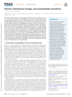 Shocks, institutional change, and sustainability transitions