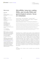 MicroRNAs, long non-coding RNAs, and circular RNAs and gynecological cancers: Focus on metastasis