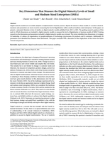 Key dimensions that measure the digital maturity levels of Small and Medium-Sized Enterprises (SMEs)
