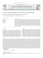 A review of photobiomodulation on PI3K/AKT/mTOR in wound healing