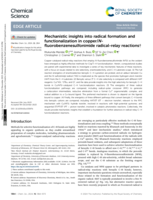 Mechanistic insights into radical formation and functionalization in copper/N-fluorobenzenesulfonimide radical-relay reactions