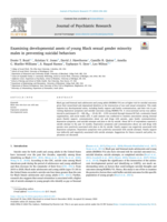 Examining developmental assets of young Black sexual gender minority males in preventing suicidal behaviors