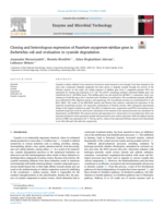 Cloning and heterologous expression of Fusarium oxysporum nitrilase gene in Escherichia coli and evaluation in cyanide degradation
