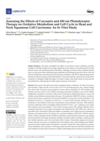 Assessing the effects of curcumin and 450 nm photodynamic therapy on oxidative metabolism and cell cycle in head and neck squamous cell carcinoma: An in vitro study