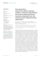 Next generation sequencing-aided screening, isolation, molecular identification, and antimicrobial potential for bacterial endophytes from the medicinal plant, Elephantorrhiza elephantina
