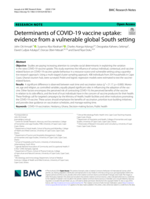 Determinants of COVID-19 vaccine uptake: Evidence from a vulnerable global South setting