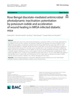 Rose Bengal diacetate-mediated antimicrobial photodynamic inactivation: potentiation by potassium iodide and acceleration of wound healing in MRSA-infected diabetic mice