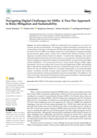 Navigating digital challenges for SMEs: A two-tier approach to risks mitigation and sustainability