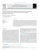 Agenda for future business resilience and survival avenues in crisis times: A systematic literature review of the effects of COVID-19 on SMEs’ productivity in South Africa